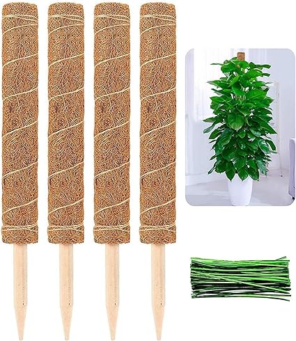 Amazon Co Jp Oeerzom 4個入り 植物支柱 Coir Moss Pole For Potted Plants 園芸支柱 つる性植物 観葉植物 ココナッツ支柱 植物ラベル 植物ネクタイ 植物サポート フラワースタンド 花支え 支柱棚 農業用 園芸用 ガーデニング 維持水分 植物成長 高さ調整 園芸用ツール
