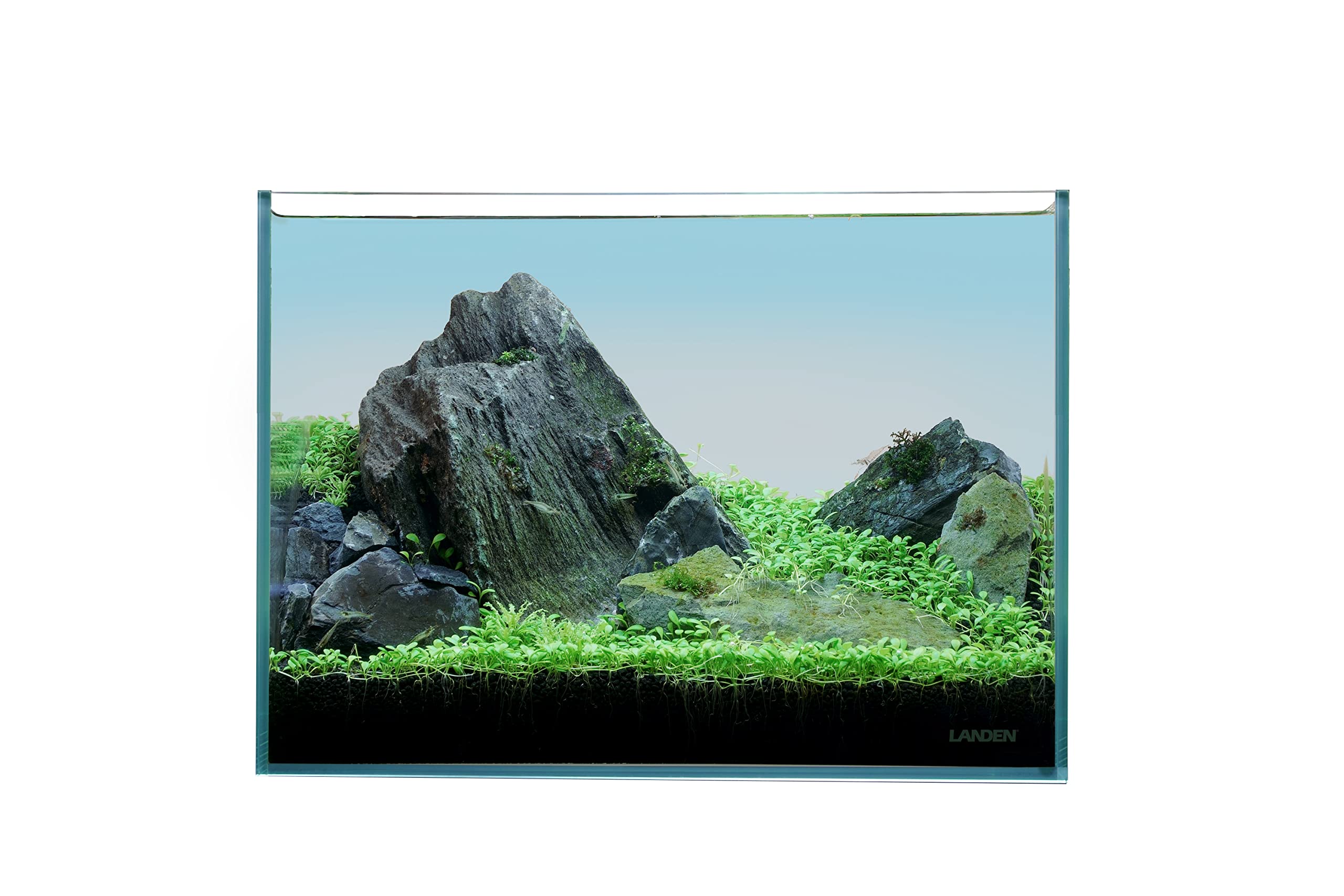 View 7