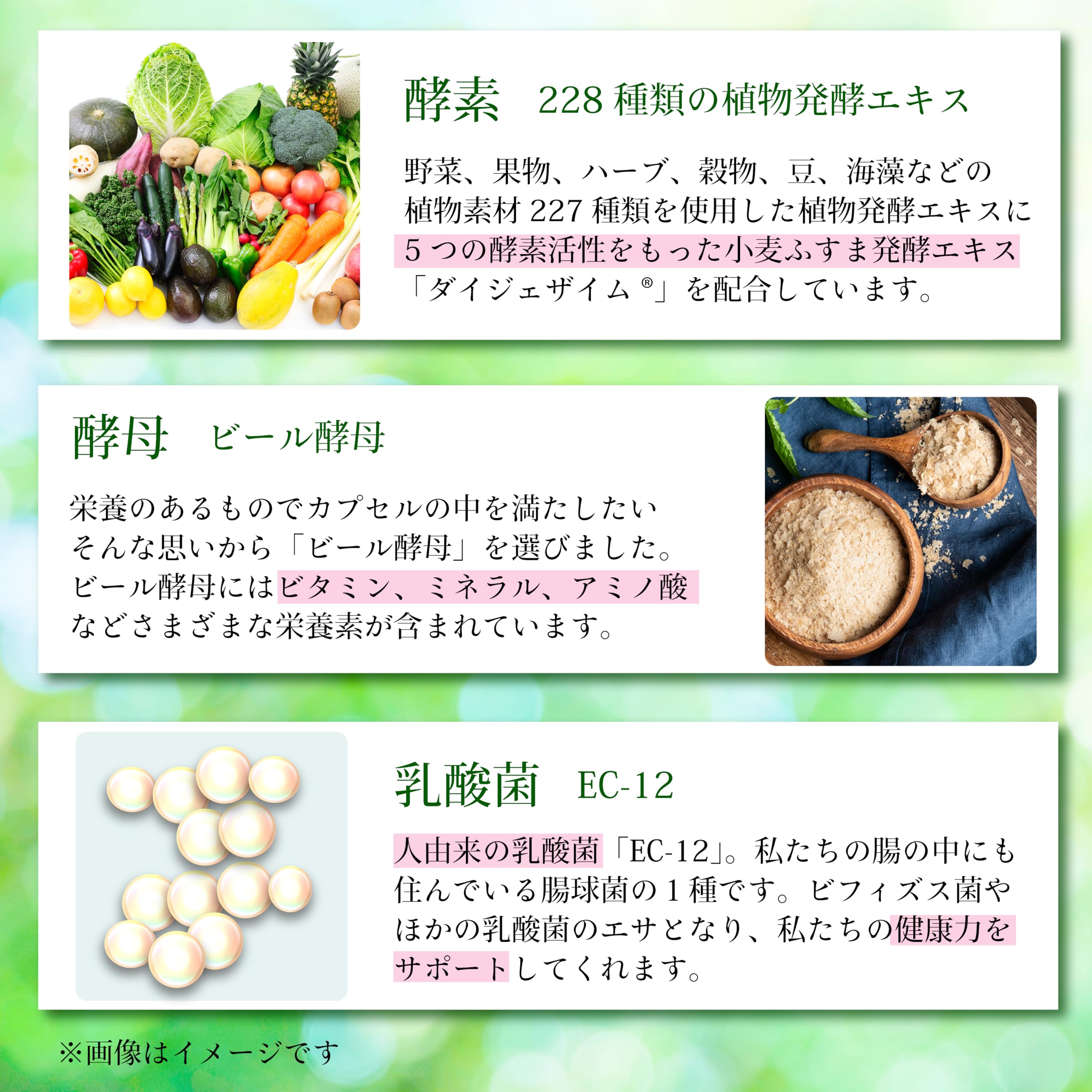 Amazon | 豊生 228種類の植物発酵エキス 約60日分 ダイジェザイム 穀物