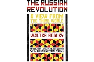 The Russian Revolution: A Historical Perspective Unveiled