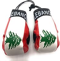 Vista 48 de Mini guantes de boxeo para espejo de coche, México