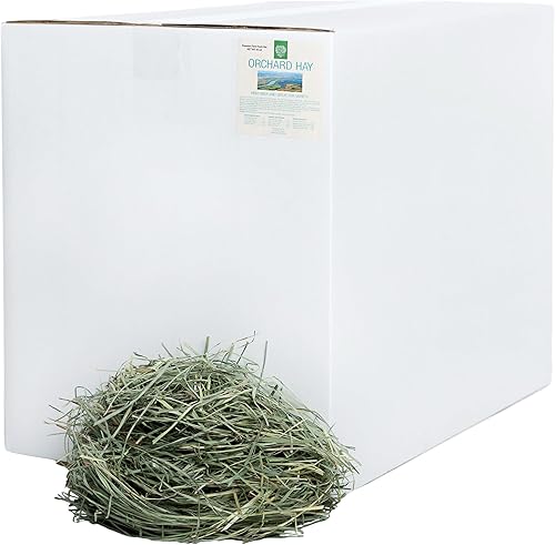 Miniatura 10 de Small Pet Select Orchard Grass - Alimento para mascotas para conejos, cobayas, chinchillas y otros animales pequeños, heno natural prémium cultivado