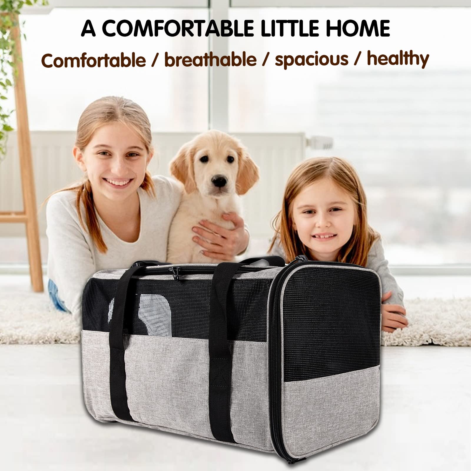 https://m.media-amazon.com/images/I/81GbaVnSlbL.jpg