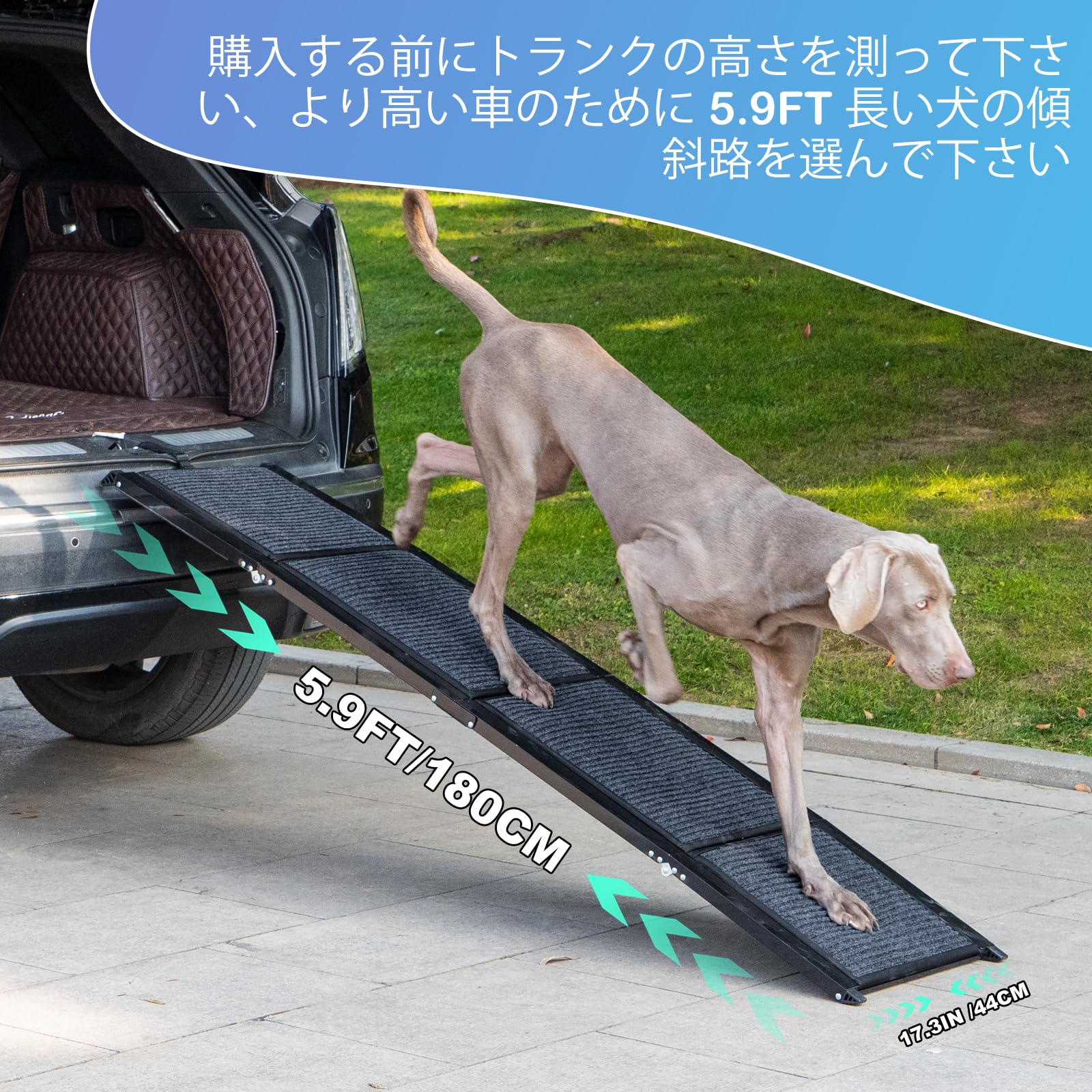 Amazon.co.jp: Uross 3つ折り ペット スロープ [ 全長 180cm