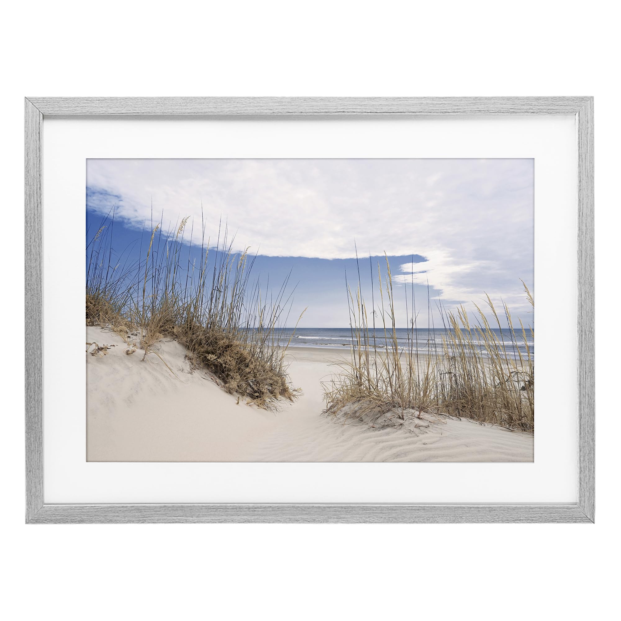 Stupell Industries Sea Oats Sandy Dunes 'Sea Oats Along Sandy Dunes', Framed Print Under Glass, Gray, 23 X 17 Inches, Easy To Hang And Sturdy, Made In Usa, By Natalie Carpentieri
