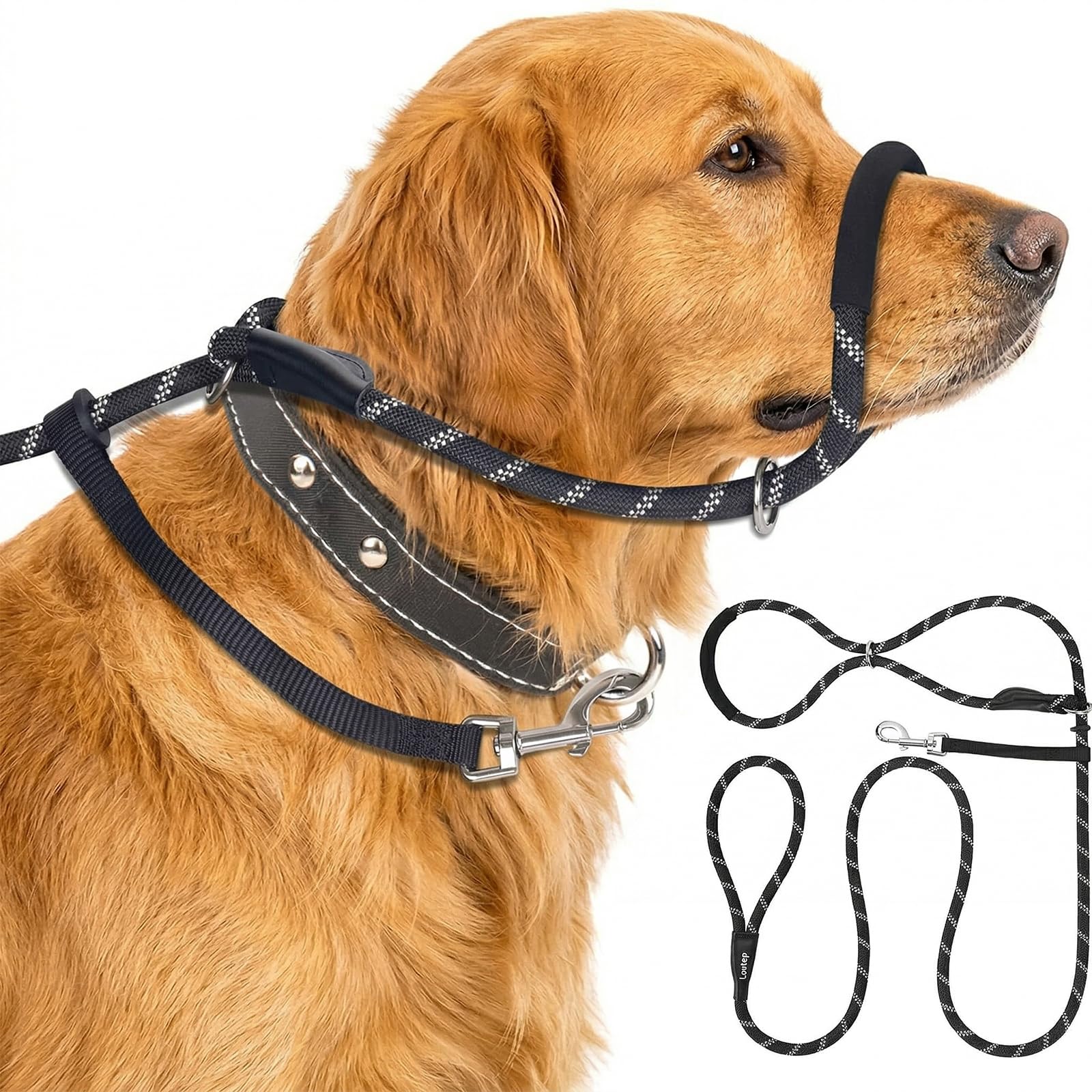 Figure of 8 Slip Lead for Dogs - Dual-Use Anti Pull Training Leash with Stopper, Neoprene Nose Padding, Reflective, Safety Clip and Robust Static 1.8m Polyester