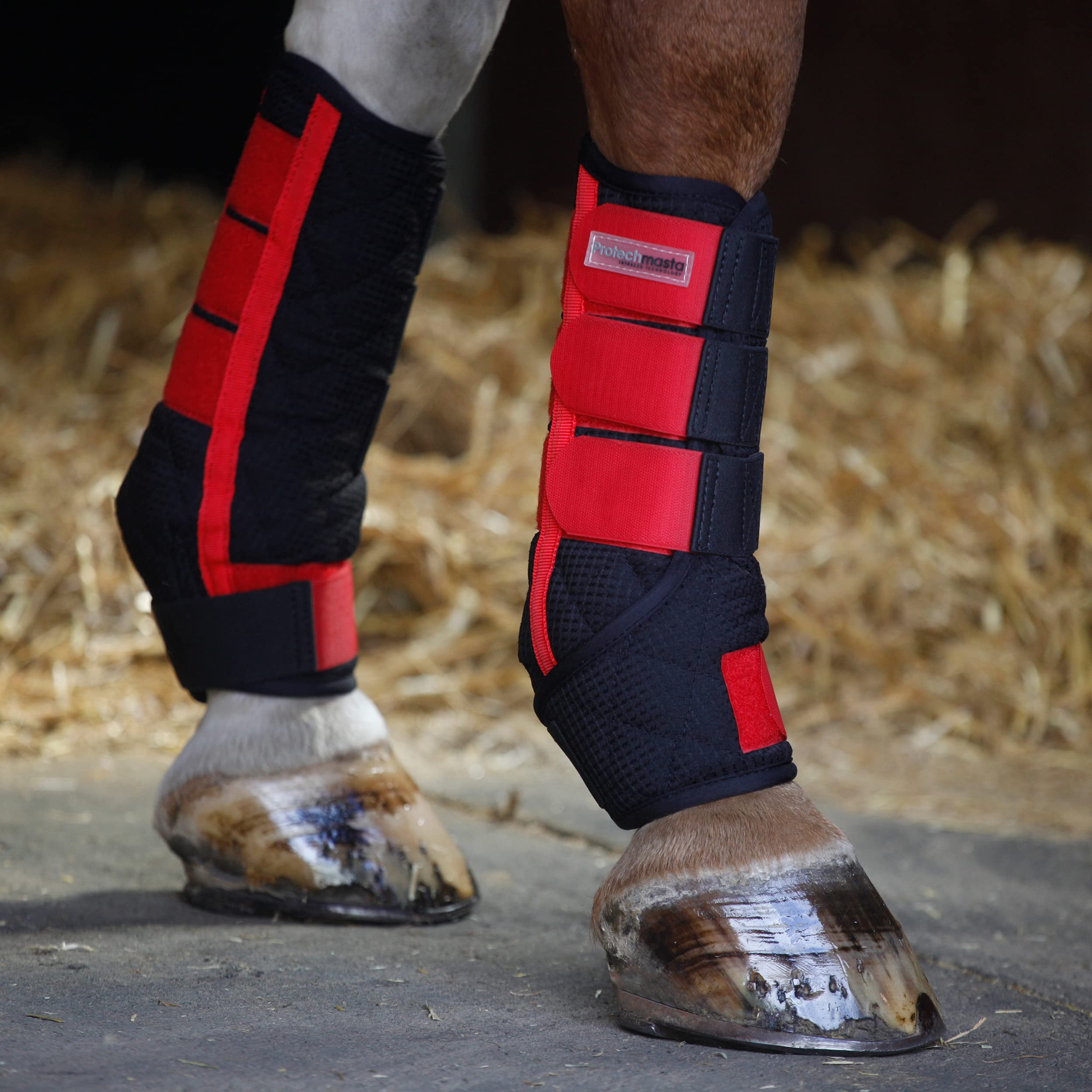 Protechmasta Leg Boots Stable Wraps for Horses - Soft and Comfort Air Mesh Fabric - Set of 2 / Black - Size: EXTRA FULL