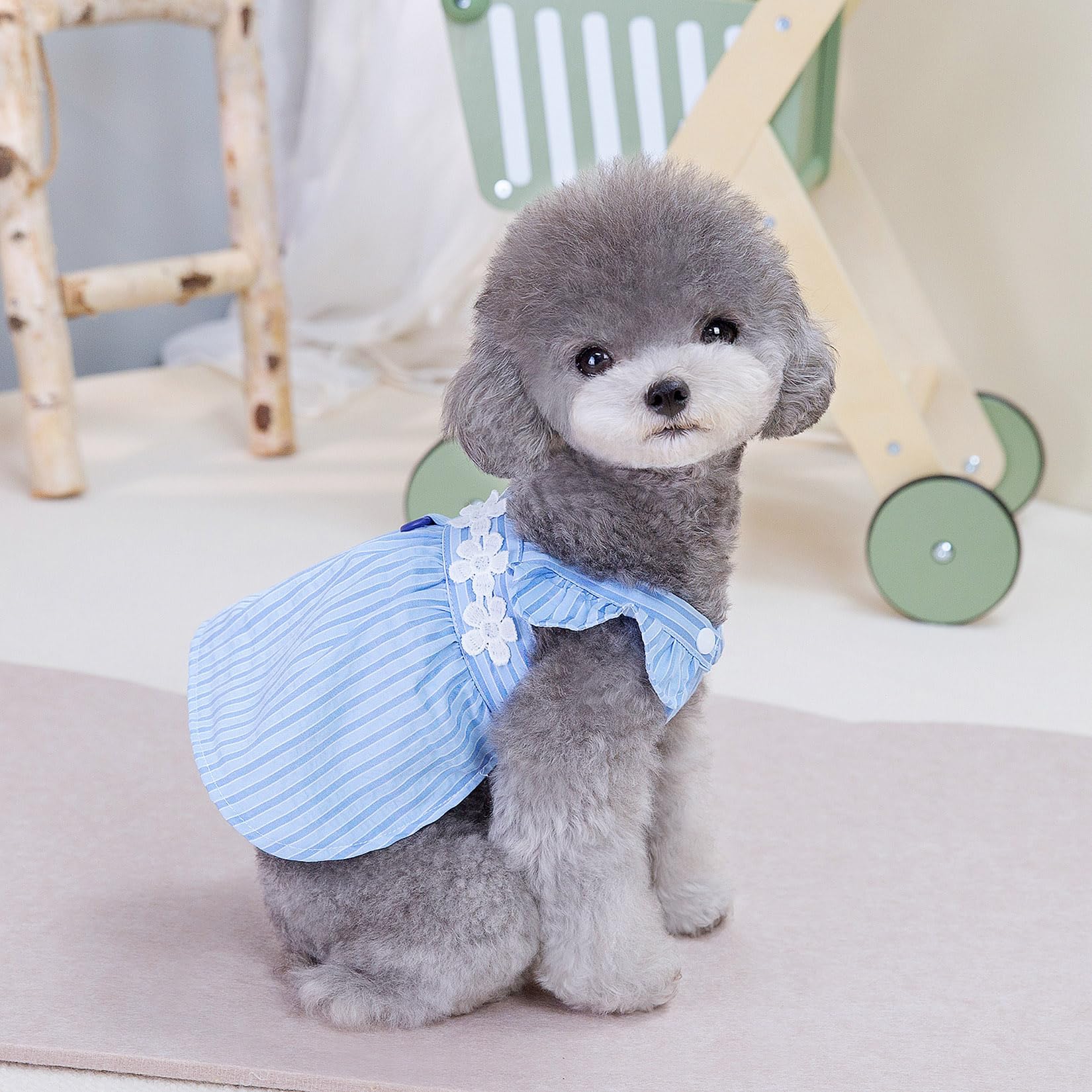 Amazon.co.jp: ストライプ柄 犬服 ワンピース 春夏 小型犬 かわいい 花