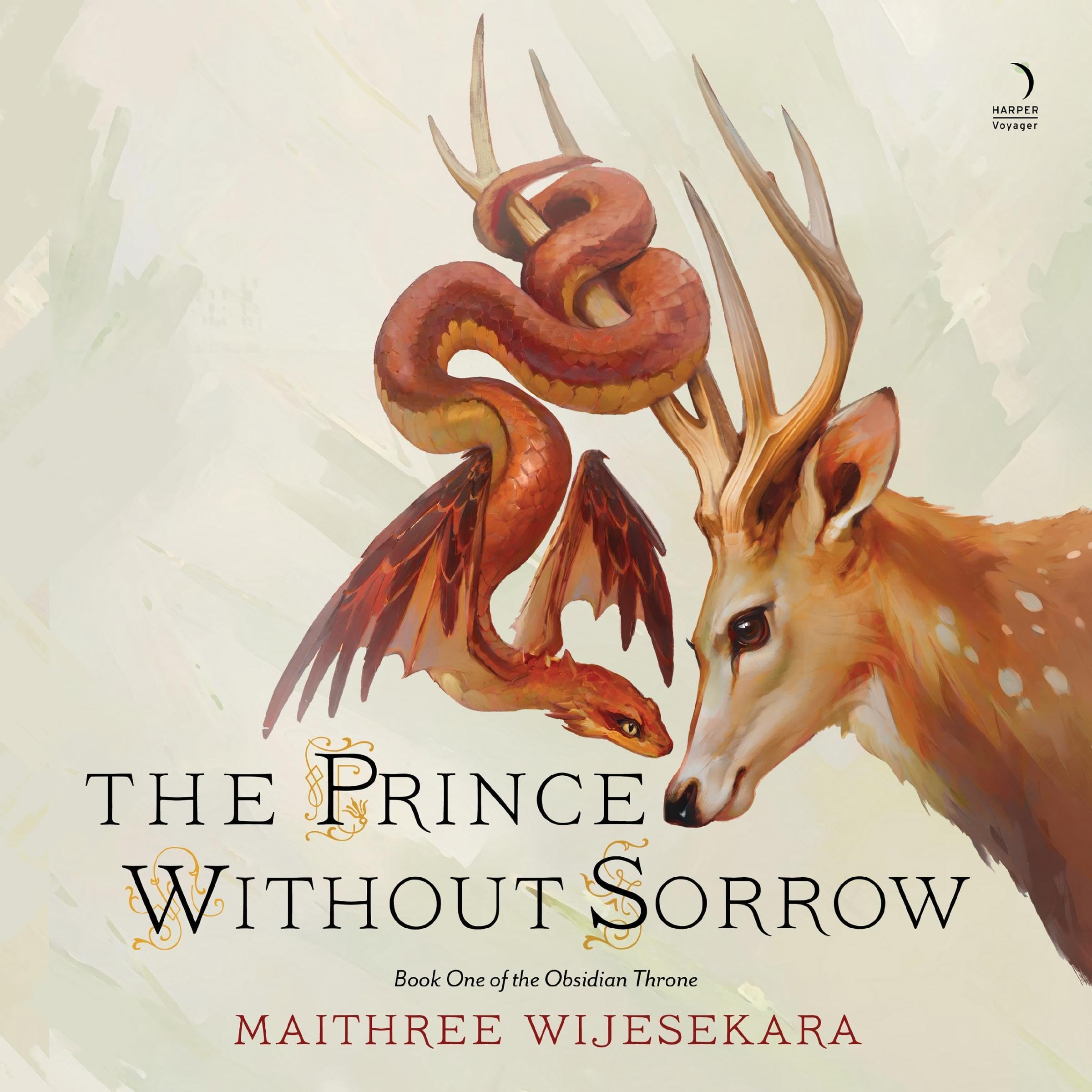 Cover art for The Prince Without Sorrow