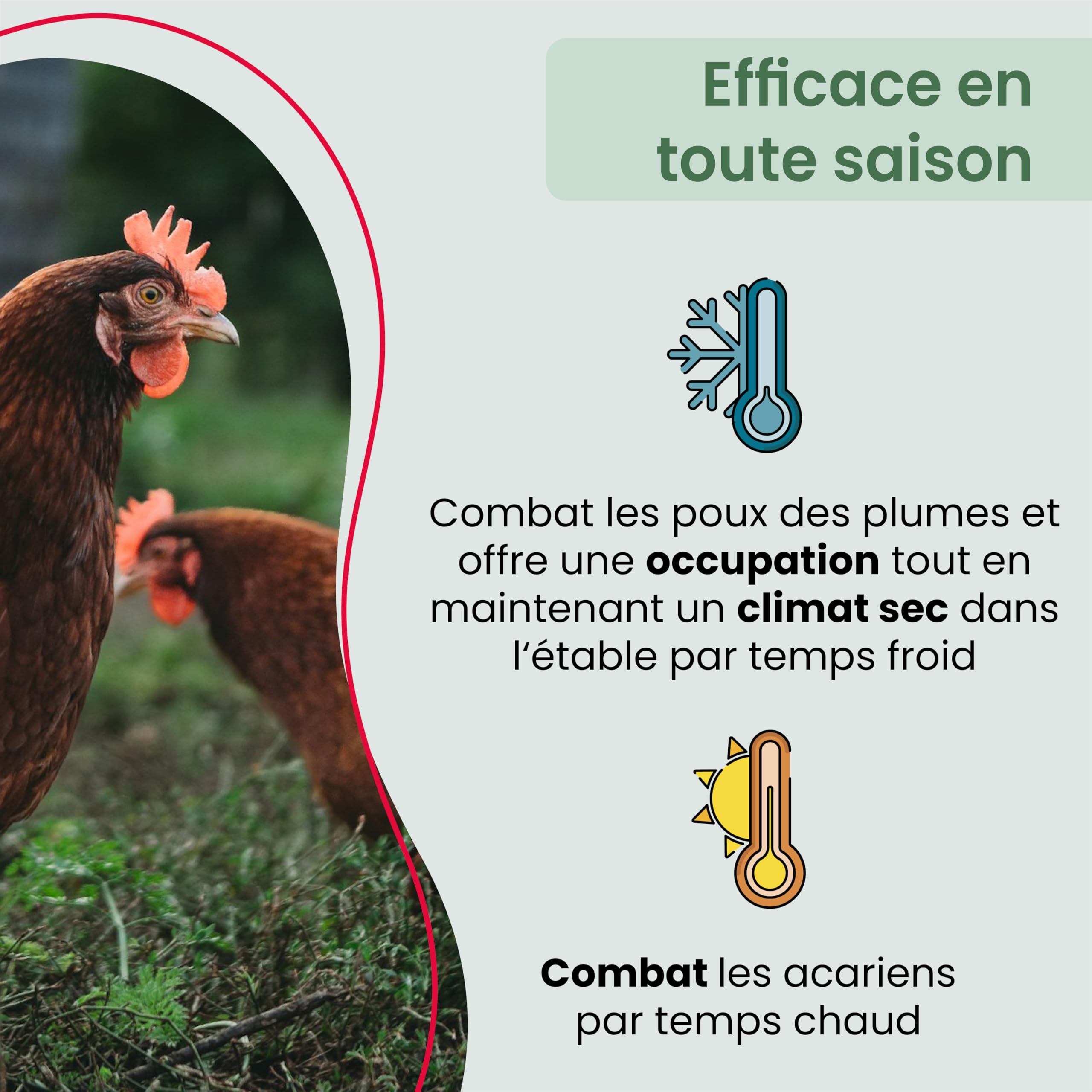 Mite bain de poussière pour poules 25kg, poudre contre les acariens, bain de sable, protection 100% naturelle contre les acariens, poudre contre les acariens, produit contre les acariens