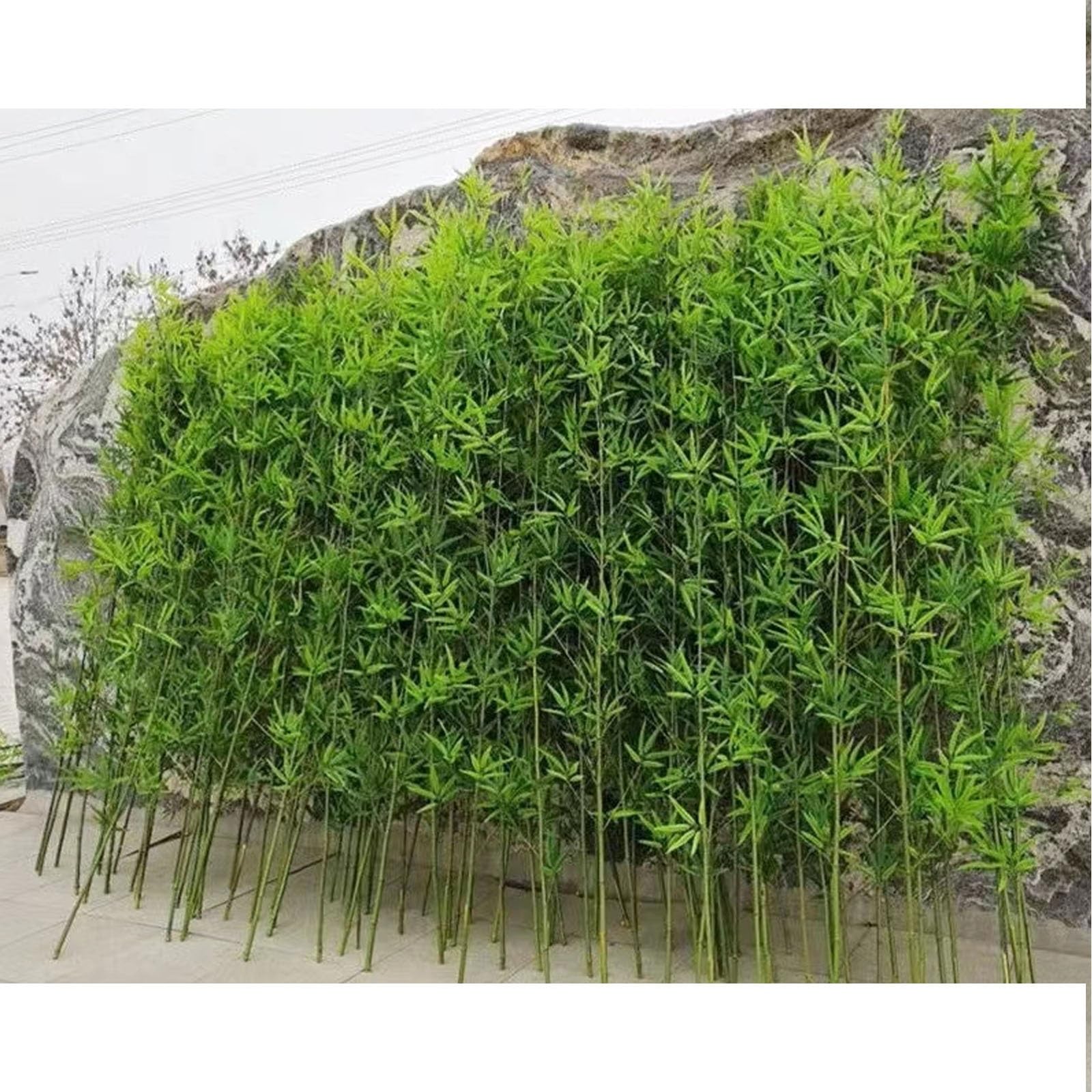 Indoor Outdoor Landscaping Privacy Wall Divider，Artificial Fake Bamboo Tree Privacy Fence，DIY Fake Bamboo Tree，Large Artificial Bamboo Plants Fake