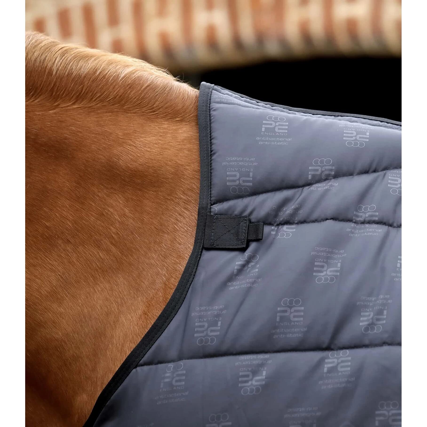 Premier Equine Cubierta para Caballos Lucanta 250 g