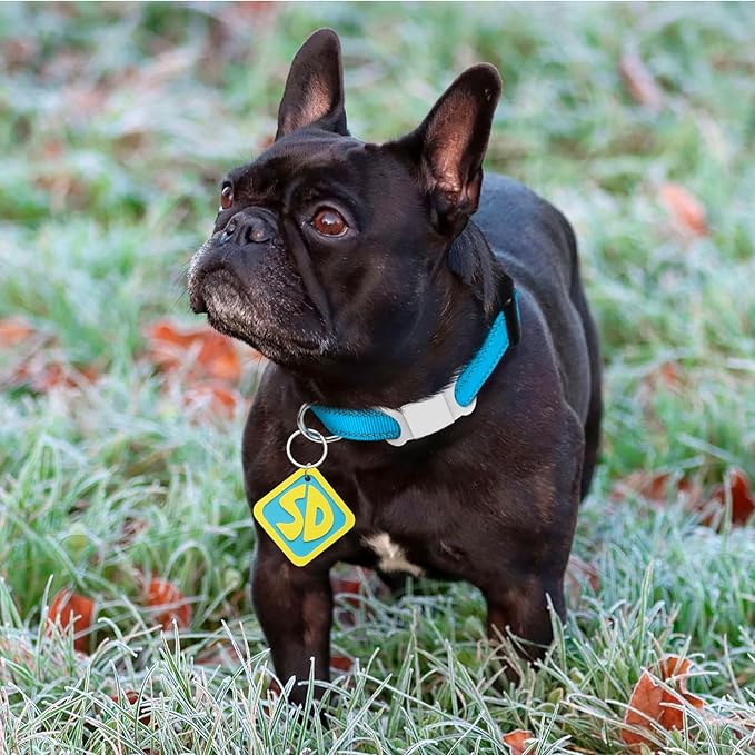 Disfraz de Halloween para perro, etiqueta SD para collar miniatura 3