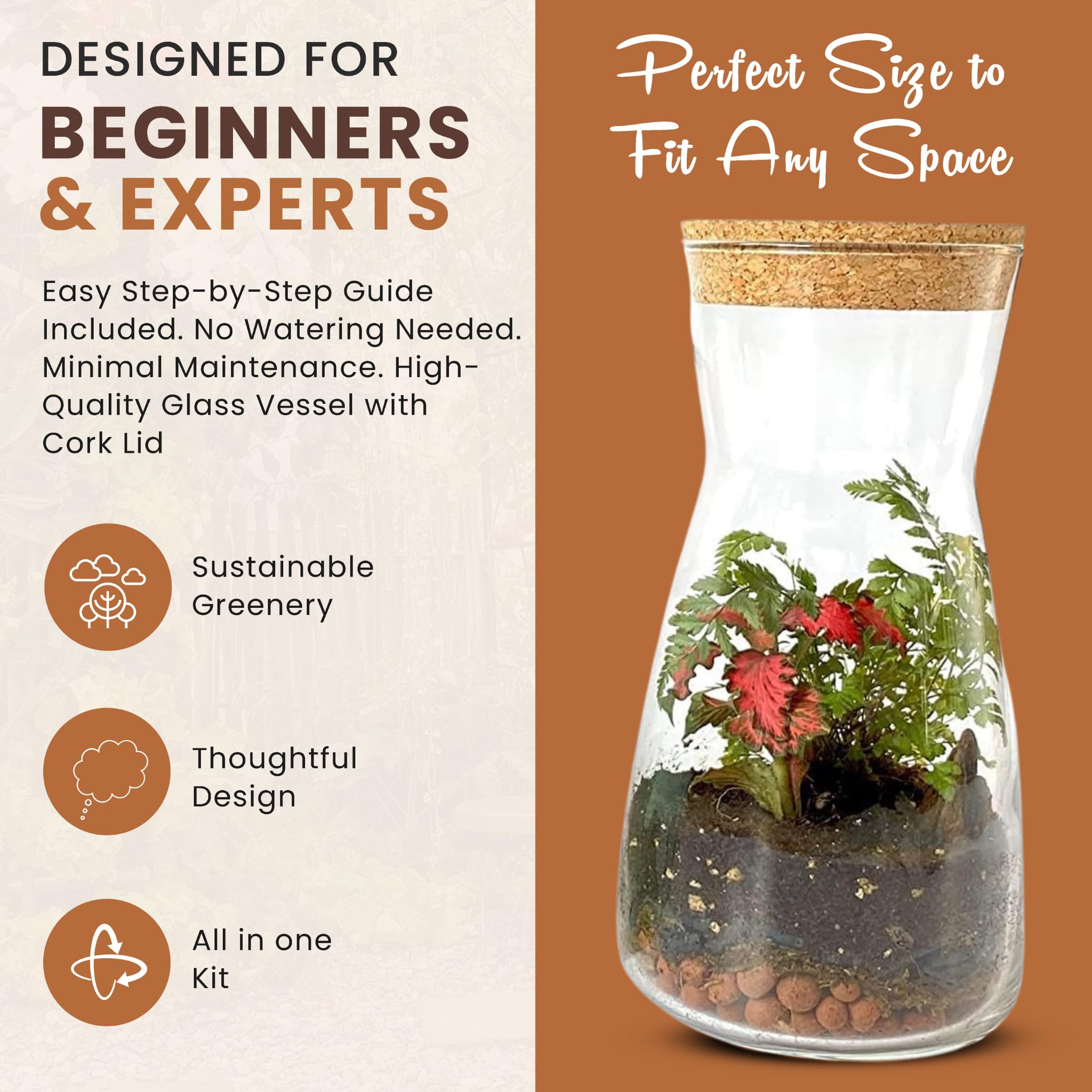 Terrarium Jar DIY Bonsai Terrarium Kit - 25cm Glass Jar With Bonsai Tree,  Fittonia, Moss, Soil & Guide Terrarium Kit For Beginners Ficus Fittonia