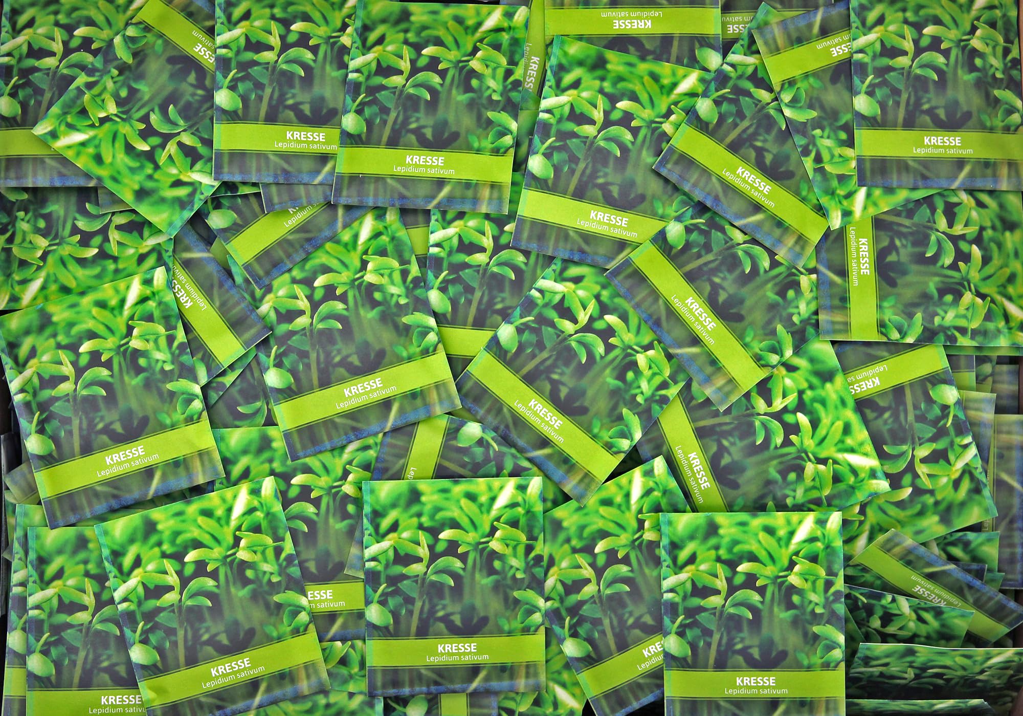 FLORTUS Kressesamen für Gastgeschenke (500 Stück) | Kleine Geschenktüten Sprossen Samen für Kresse als Dankeschön Geschenke & Werbegeschenke | Kräutersamen für Microgreens