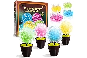Cool Crystal Growing Kit for Curious Kids: A Journey into Science and Wonder