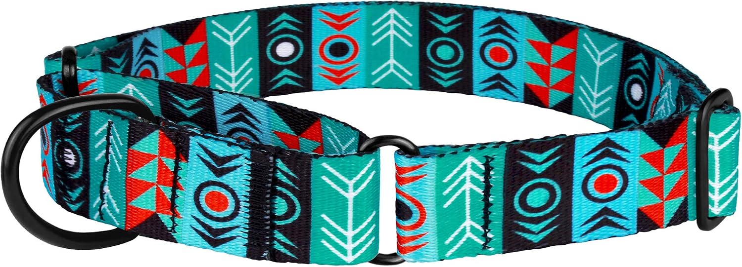 CollarDirect Martingale Dog Collar Nylon Safety Training Tribal Pattern Adjustable Heavy Duty Collars for Dogs Medium Large (Pattern 1, M, Neck Size 12"-17")