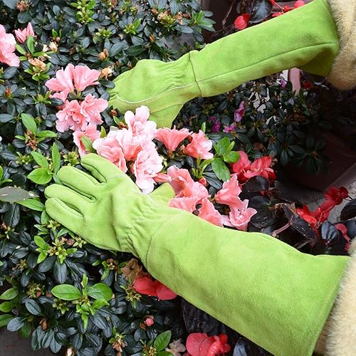 Miniatura 7 de HANDLANDY - Guantes de jardinería de cuero para mujer, guantes largos a prueba de espinas, guantes de jardín resistentes, longitud hasta el codo,