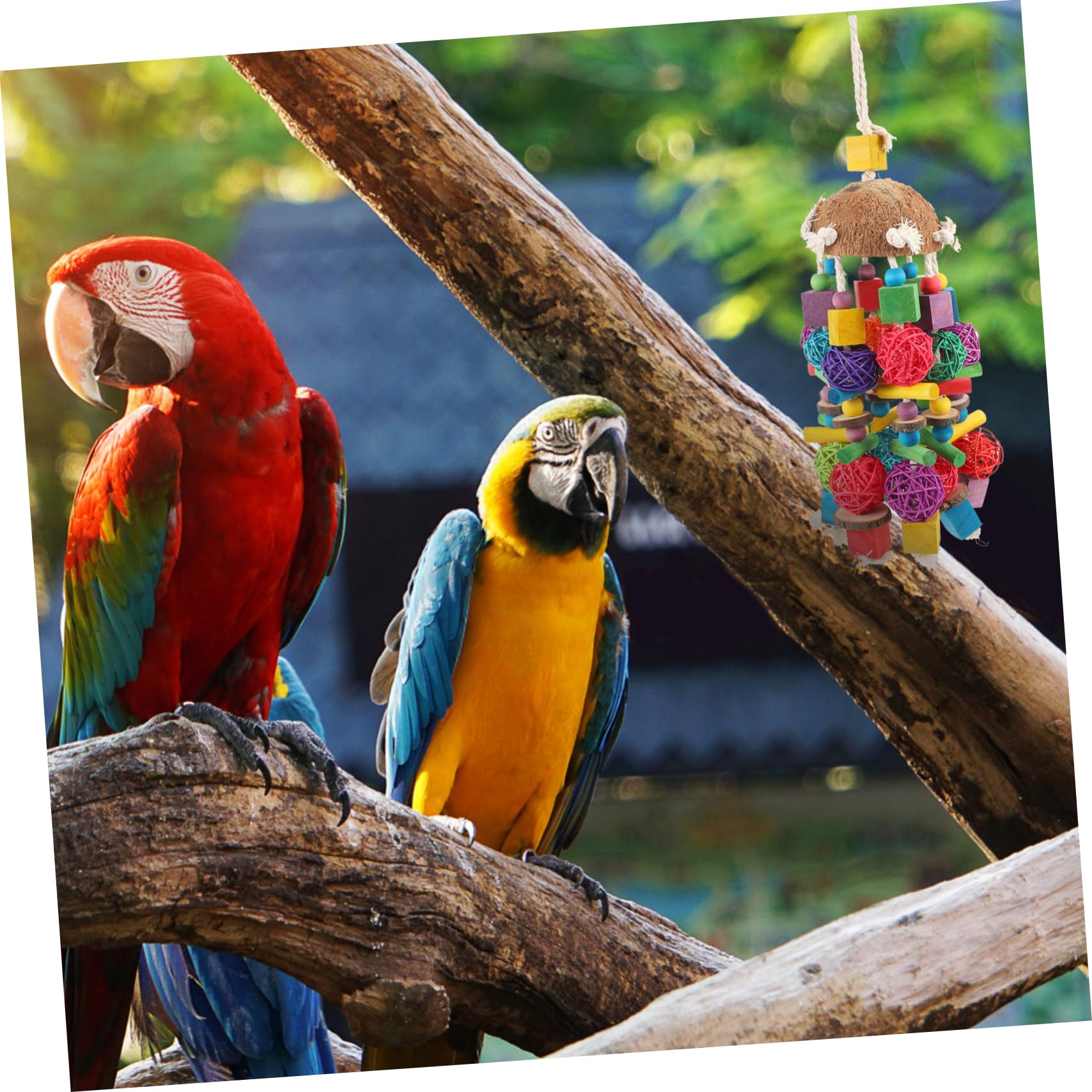 Papageien Beißspielzeug Holzklötze Hängespielzeug Vogel Kauen Spielzeug Käfig Zubehör Haustier Spielzeug Spaß Für Kleine Vögel