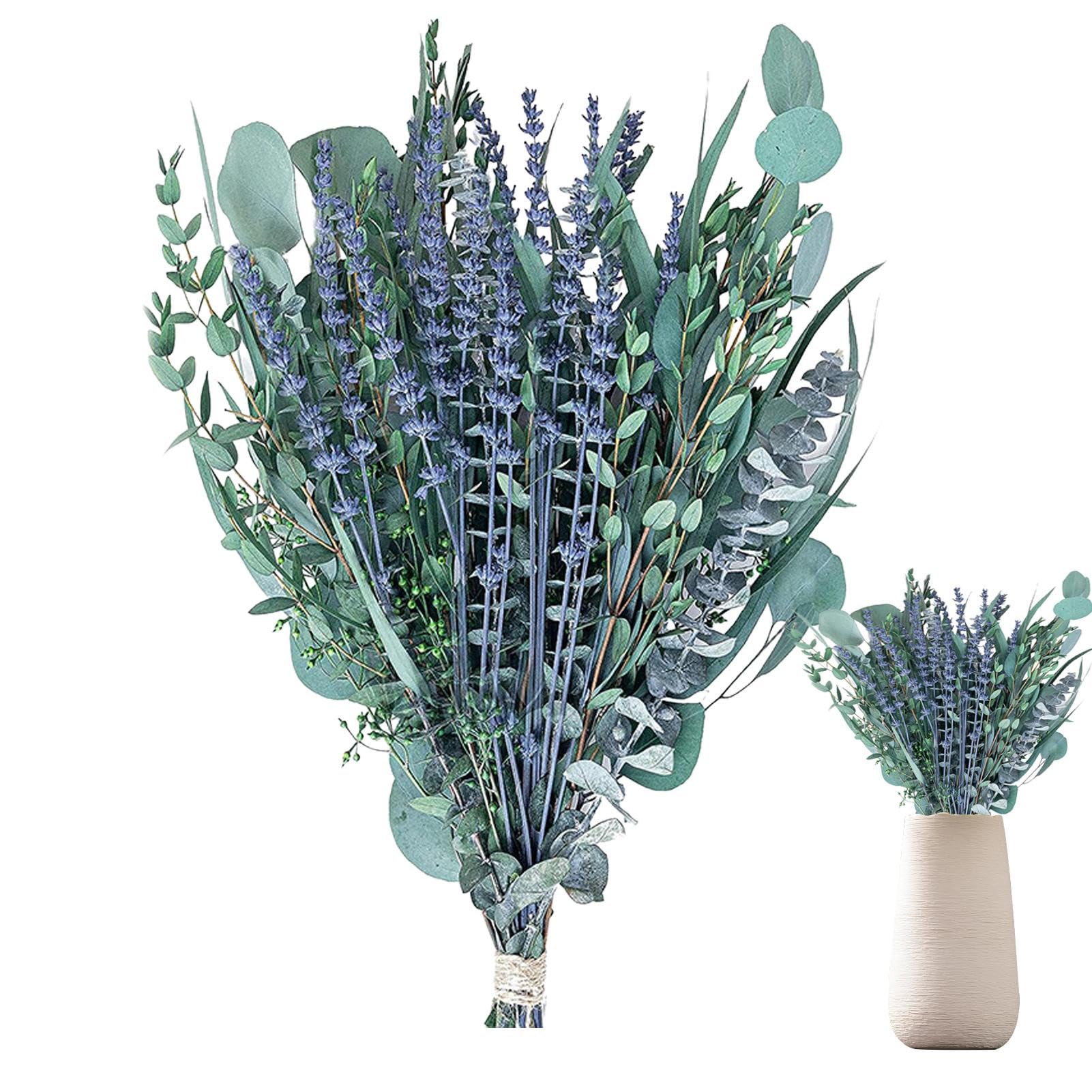 Tige d'eucalyptus séchée artificielle haut de gamme pour décoration
