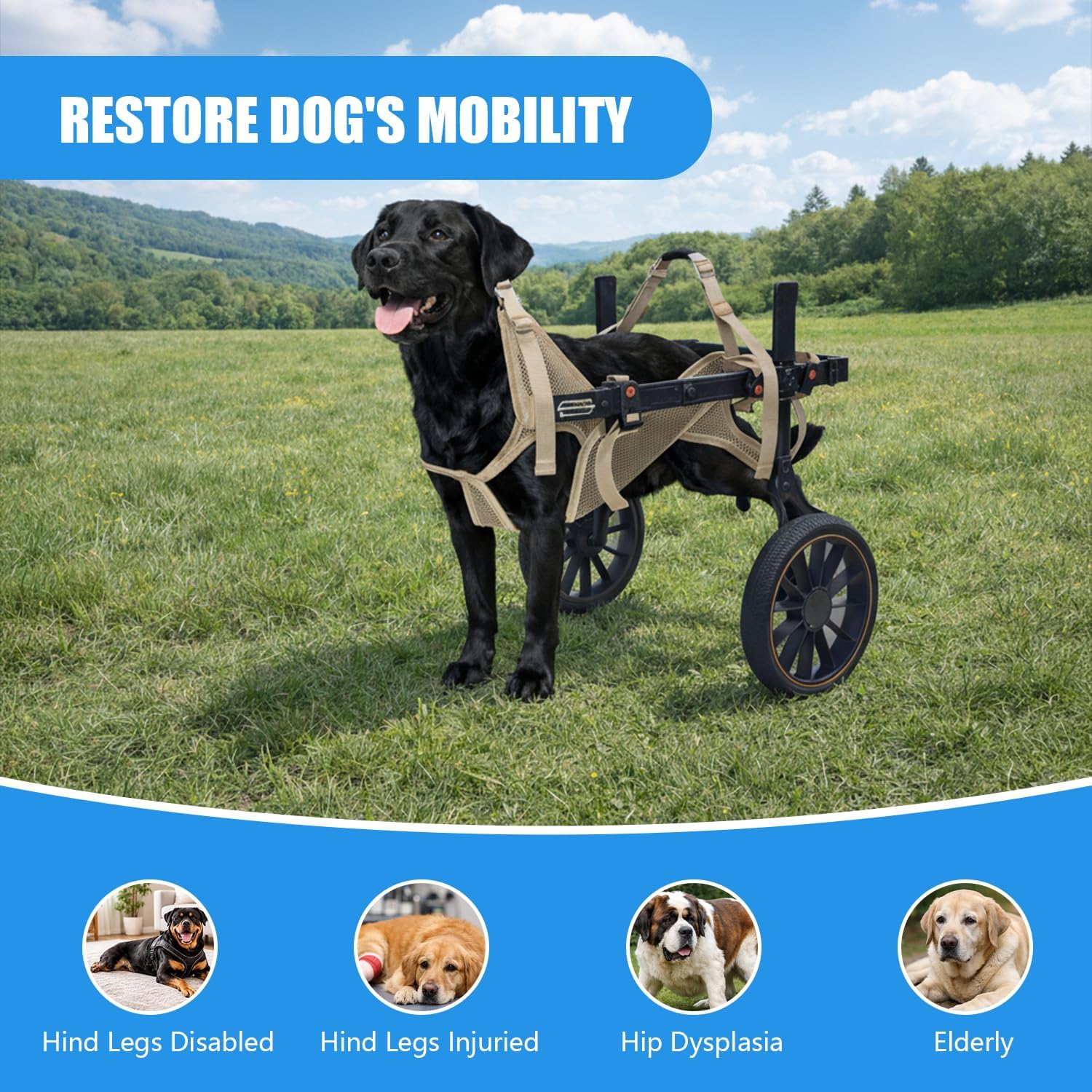 2-Wheel Dog Wheelchairs for Back Legs, Adjustable Pet Rehabilitation Walking Aid & Mobility Support Cart for Medium/Large Dogs, Weight Capacity 33-55 lbs - Size XL