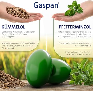 42 Capsules Natural Support for Gastrointestinal Discomfort Peppermint oil 90 mg & cumin oil 50 mg per capsule enteric-coated capsules plant-based 2 capsules daily without chewing
