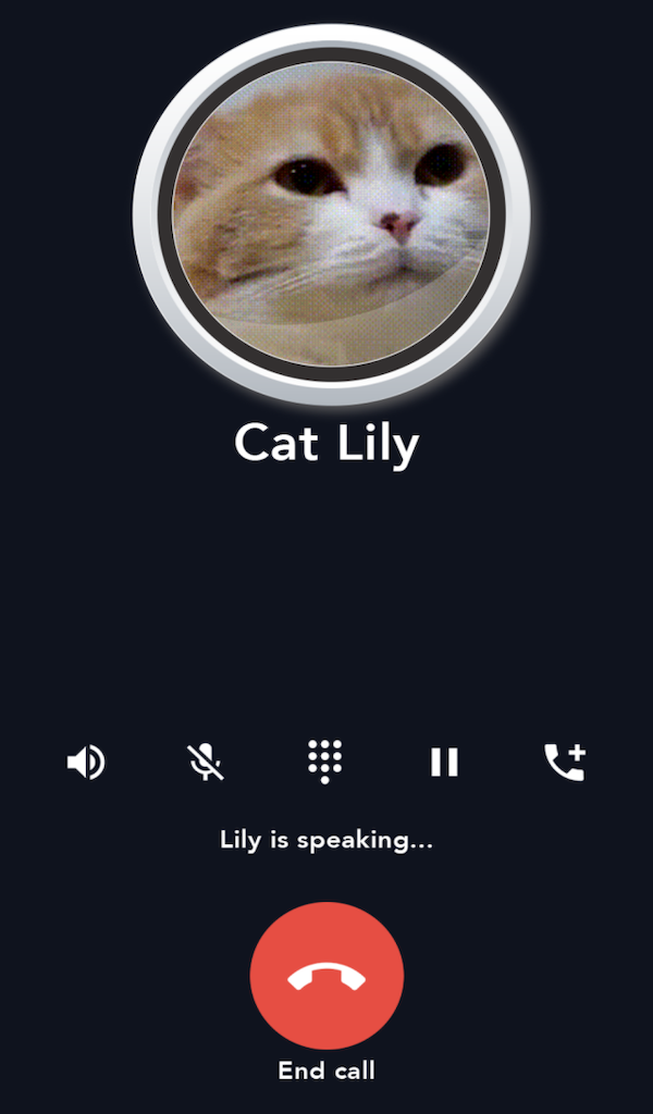 Video Call Cat Call cat talking meowing