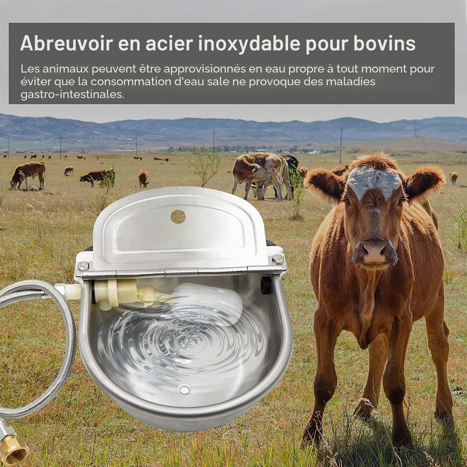 Abreuvoir Automatique Abreuvoir Chevaux Chien 4 en 1 Inoxydable,Utilisé pour BéTail Cheval Porc Mouton Alpaga Chien Buveur Outil D'éLevage