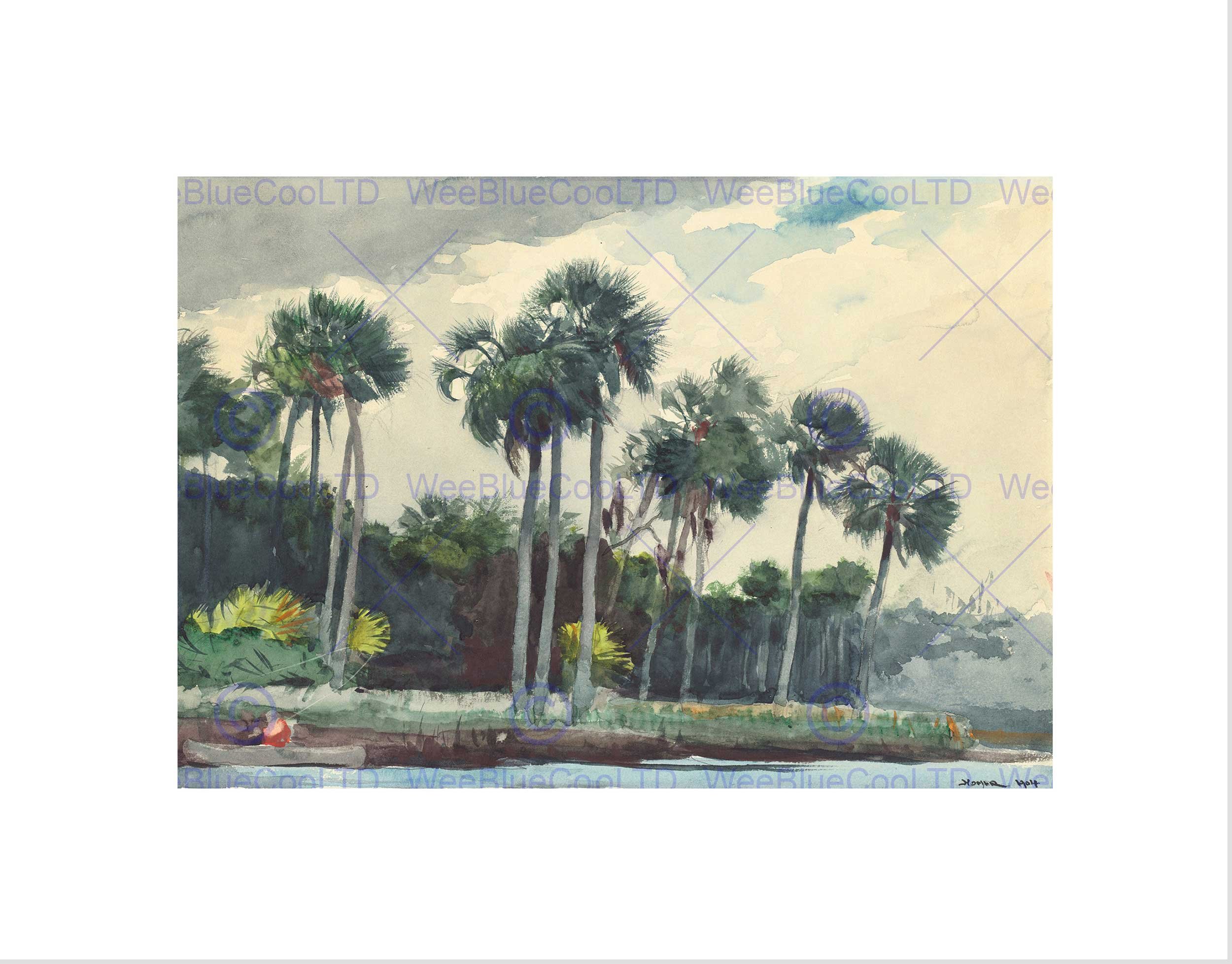 Wee Blue Coo WINSLOW HOMER AMERICAN RED SHIRT HOMOSASSA FLORIDA FRAMED ART PRINT B12X5457