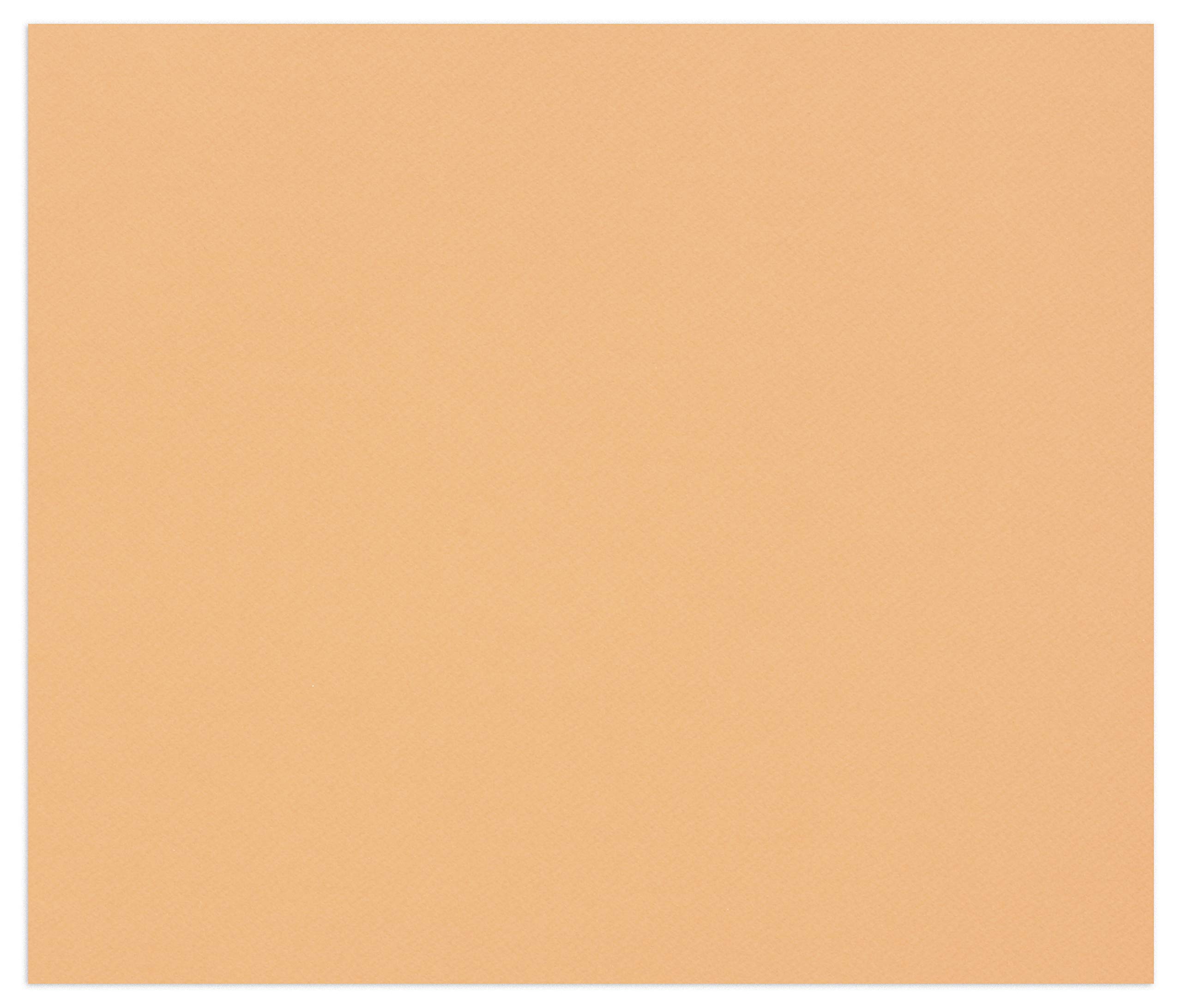 Palette De Couleurs Pastel Avec Code Couleur 15601589 Art Vectoriel