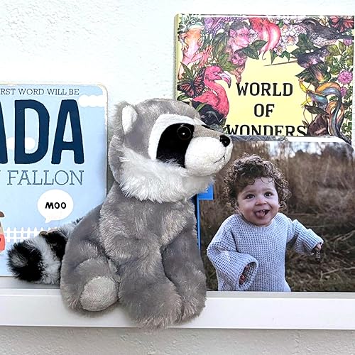 Miniatura 3 de The Petting Zoo Raccoon Stuffed Animal Plushie, Gifts for Kids, Wild Onez Babiez Zoo Animals, Raccoon Plush Toy 6 inches