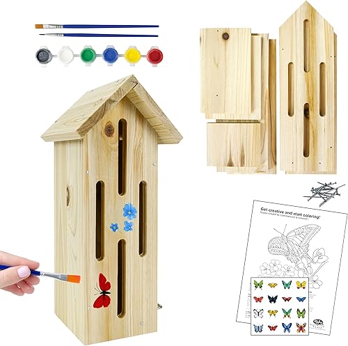 Nature's Way My First Butterfly House - Kit de manualidades de bricolaje - Creativo de madera para construir y pintar STEM regalo para niños y