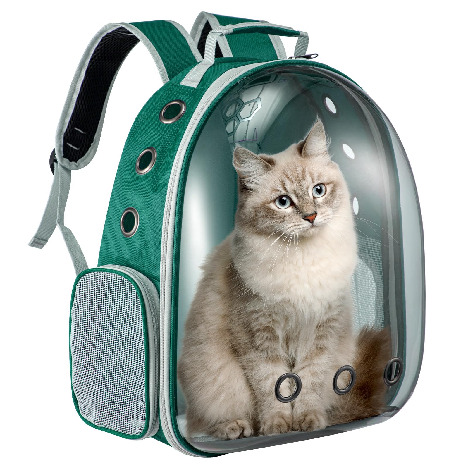 LN COZY CORNER Transparent Bubble Cat Backpack –Space Capsule Pet Carrier Backpack with Hard‑Shell Dome, Breathable Mesh & Padded Straps – Hands‑Free Travel Cat Bag Carrier (Green)