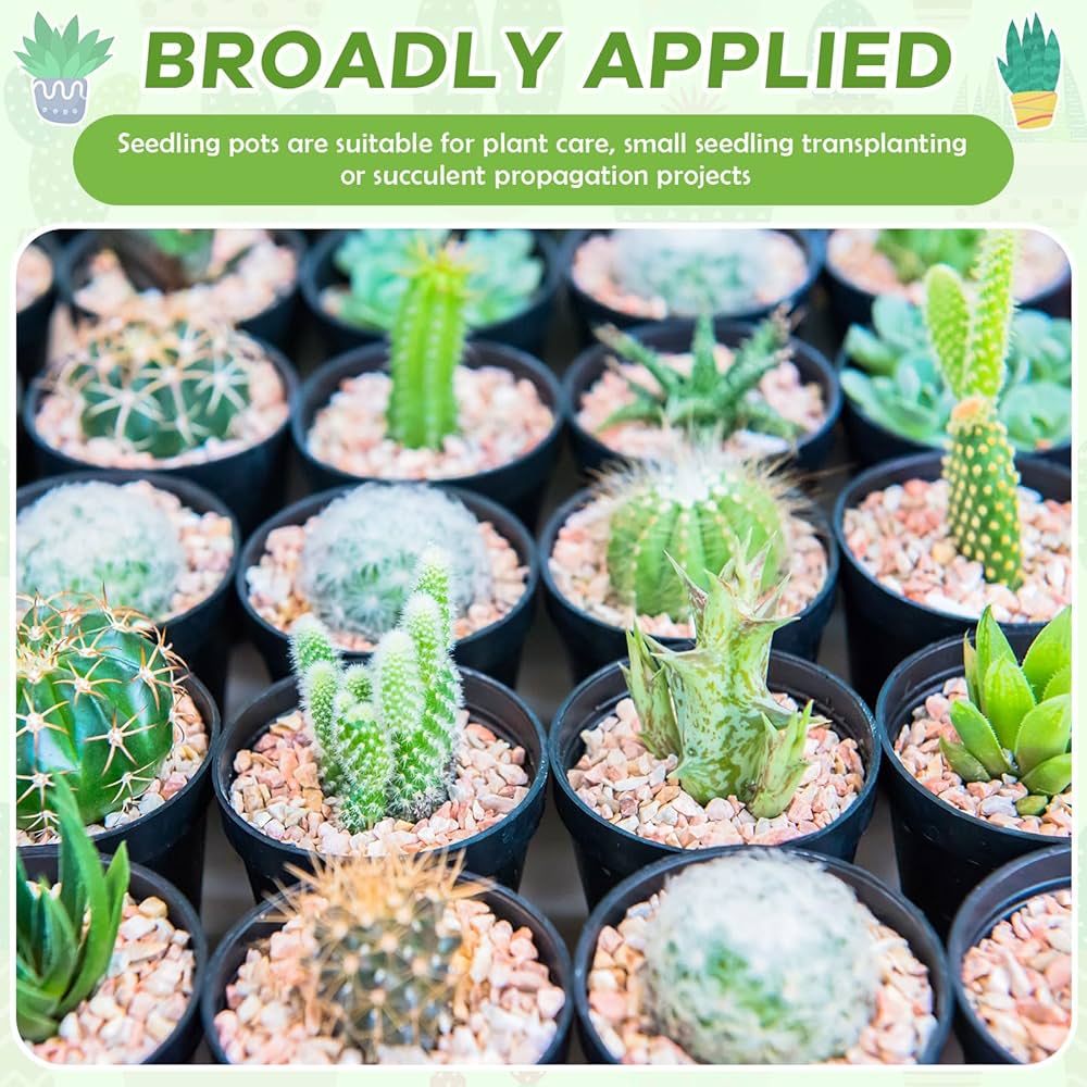 Amazon.com: Yaomiao 200 Pcs 2 Inch Black Mini Plastic Plant