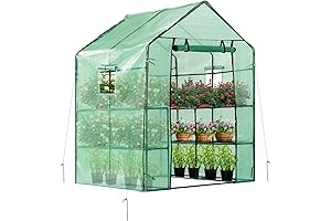 VIVOSUN Small Green Houses for Outside