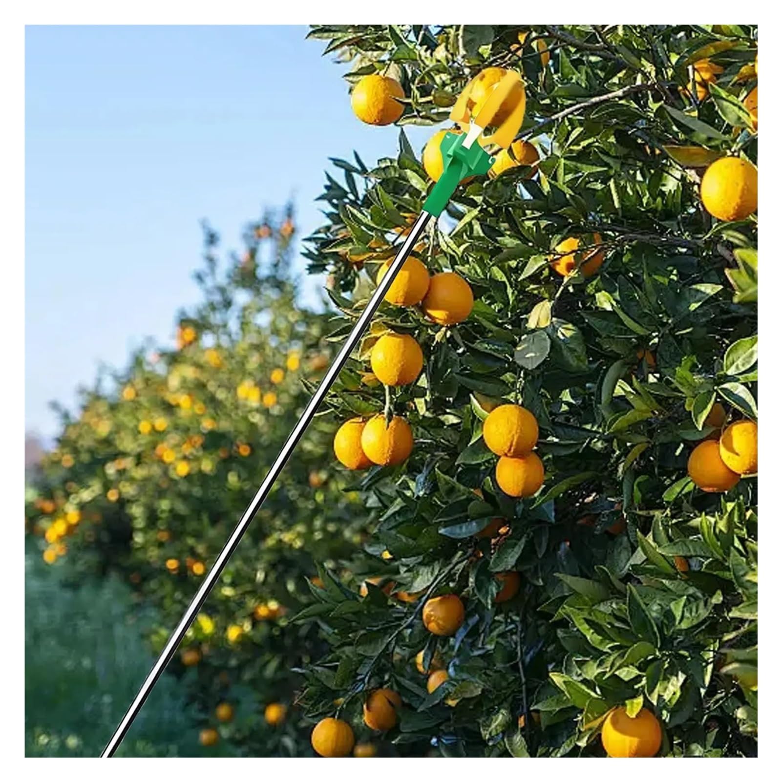 Raccoglitore di Frutta Raccoglifrutta, Copertura Estensibile in Silicone for Artigli, Raccolta della Frutta ad Alta Quota, Adatto for l'uso in frutteti e abitazioni