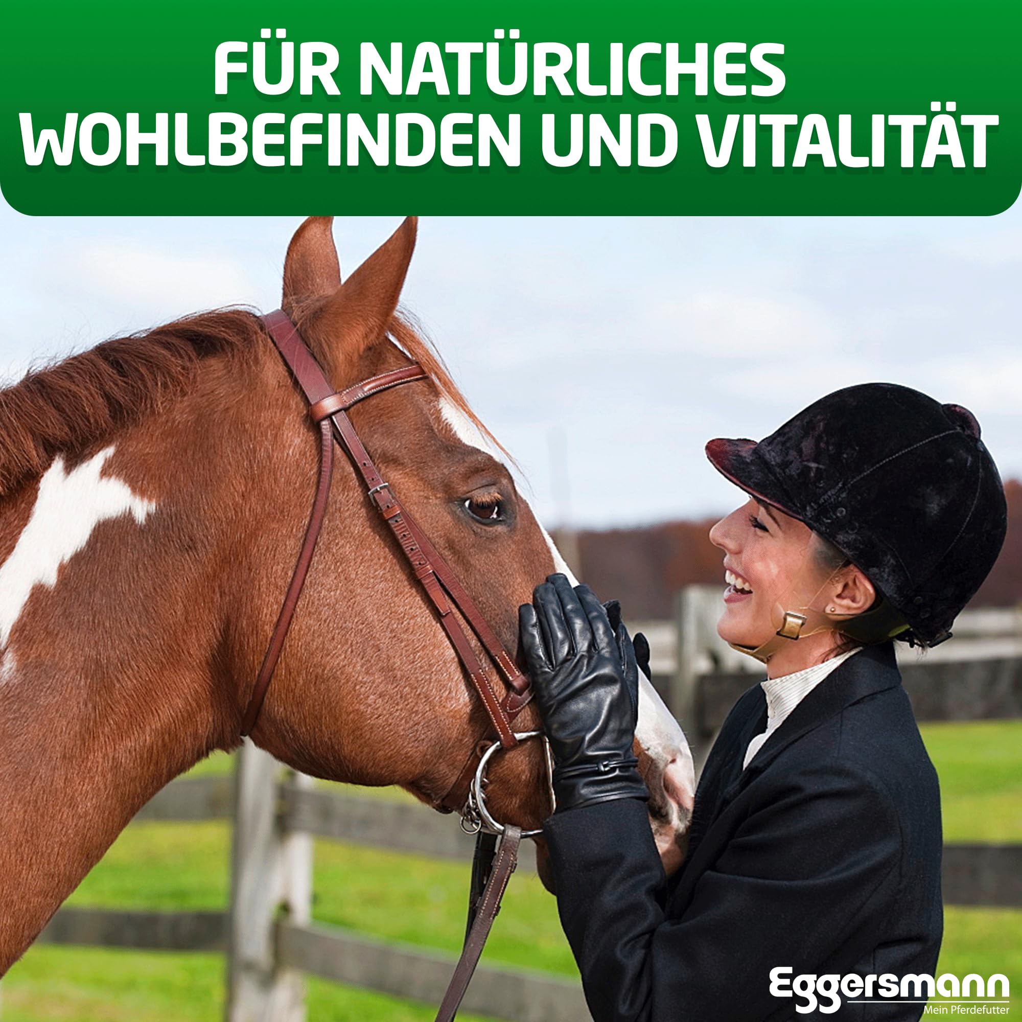 Eggersmann Mein Pferdefutter EMH Heu Cubes 20 kg - Raufutter aus sonnengetrocknetem Heu ideal als kompletter Heuersatz für Pferde & Ponys - Pferdefutter ideal bei Zahnproblemen - Deutsche Herstellung