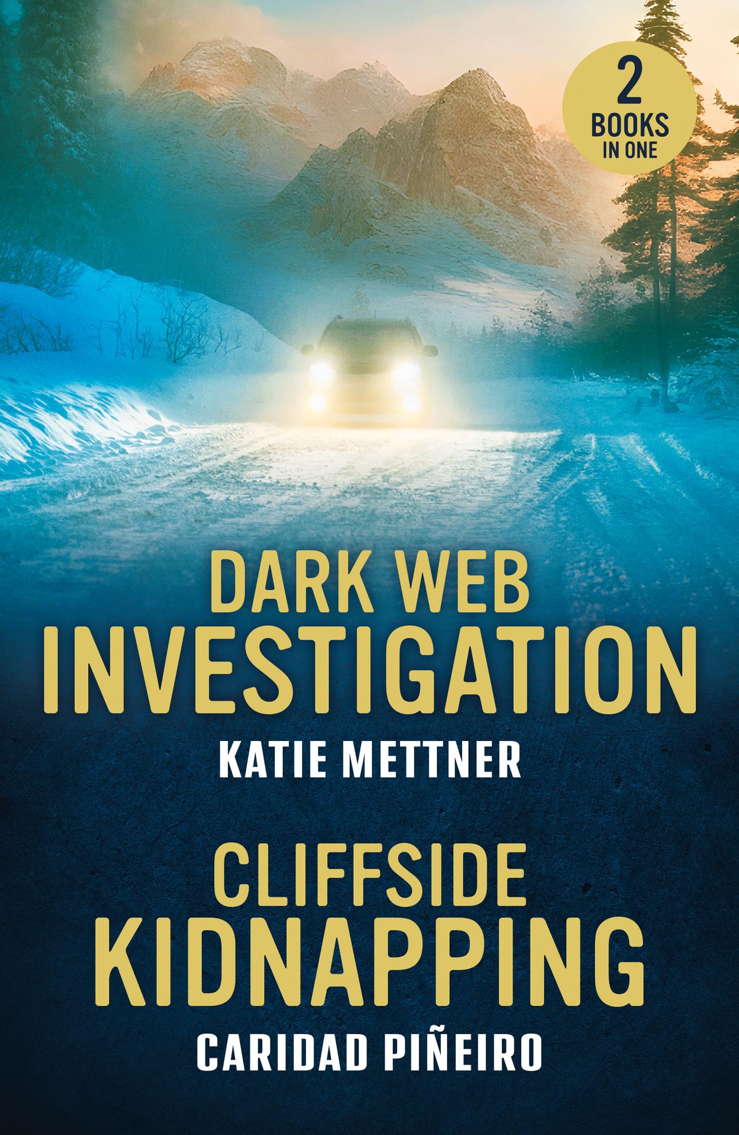 Dark Web Investigation / Cliffside Kidnapping: Two romantic suspense love stories perfect for fans of workplace romances and small towns in 2026!