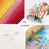 Vista 5 de Dimensean Kits de punto de cruz estampados, gama completa de patrones de bordado, kits de iniciación para principiantes y adultos, kits de punto