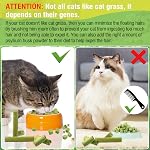 50g Cat Grass Teething Stick for Cat, Freezed Dried Cats Grass Treats Snacks, Edible Cats Chew Toys for Teeth Cleaning and Hairball Removal