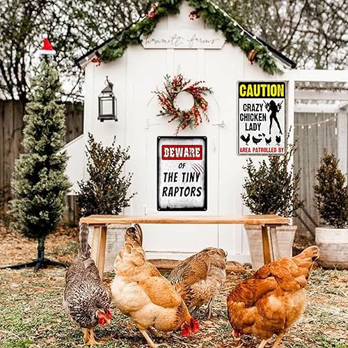 Miniatura 8 de Letrero de metal de gallinero para gallinero, divertido letrero de patio de granja al aire libre, letrero de señora de pollo loco, letrero de