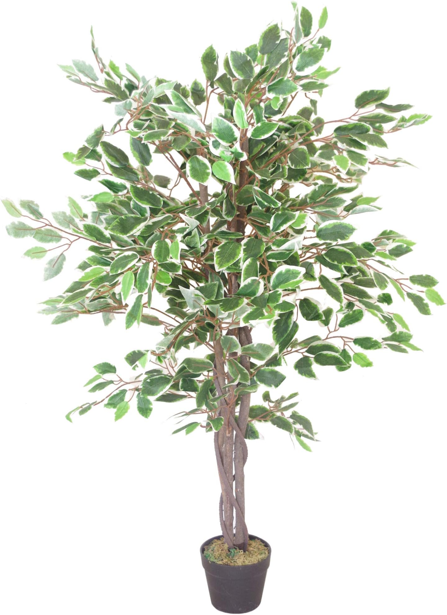 Leaf Artificial Ficus Tree/Plant, White Edge Twist, 120cm