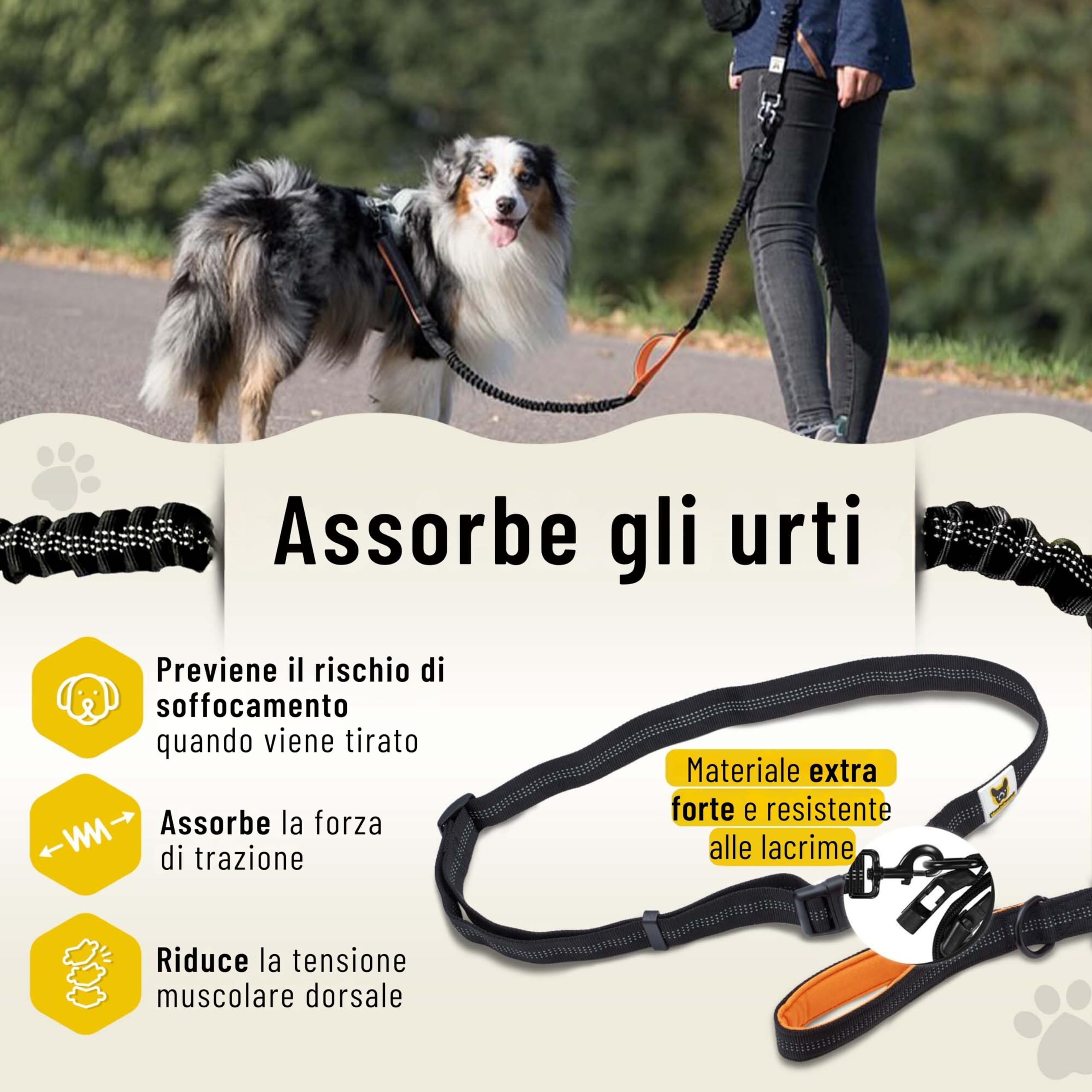 Guinzaglio Mani Libere Per Cani Jogging - Elastico 120-170 Cm, Cintura Imbottita, Fino 70kg - Foto 8