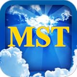MST AA 12 Steps Tool