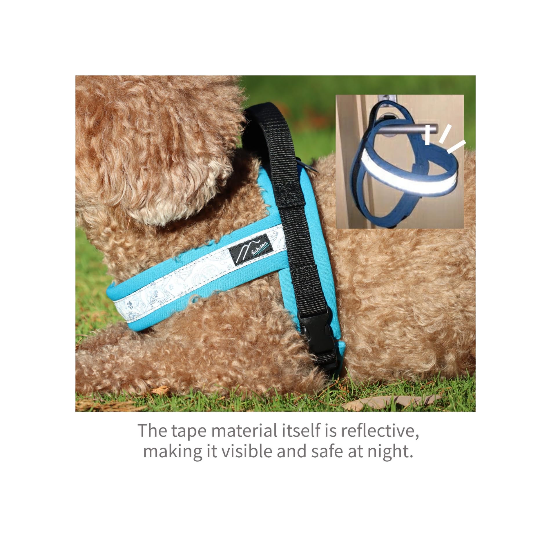 Hakusan - Pettorina per cani con drago, realizzata a mano, sicura, senza stress, con buskles one-touch, indossabile velocemente, riflettore, utile hundle, 1,5 - cane medio, nero × turchese
