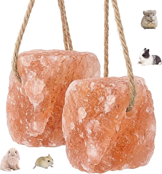 Lot de 2 Pierres à Lécher en Sel de l'Himalaya Naturel avec Corde - Complément Minéral Essentiel pour Chevaux, Chèvres et Bétail - Bloc de Sel Pur pour Santé et Bien-être Animal - 1