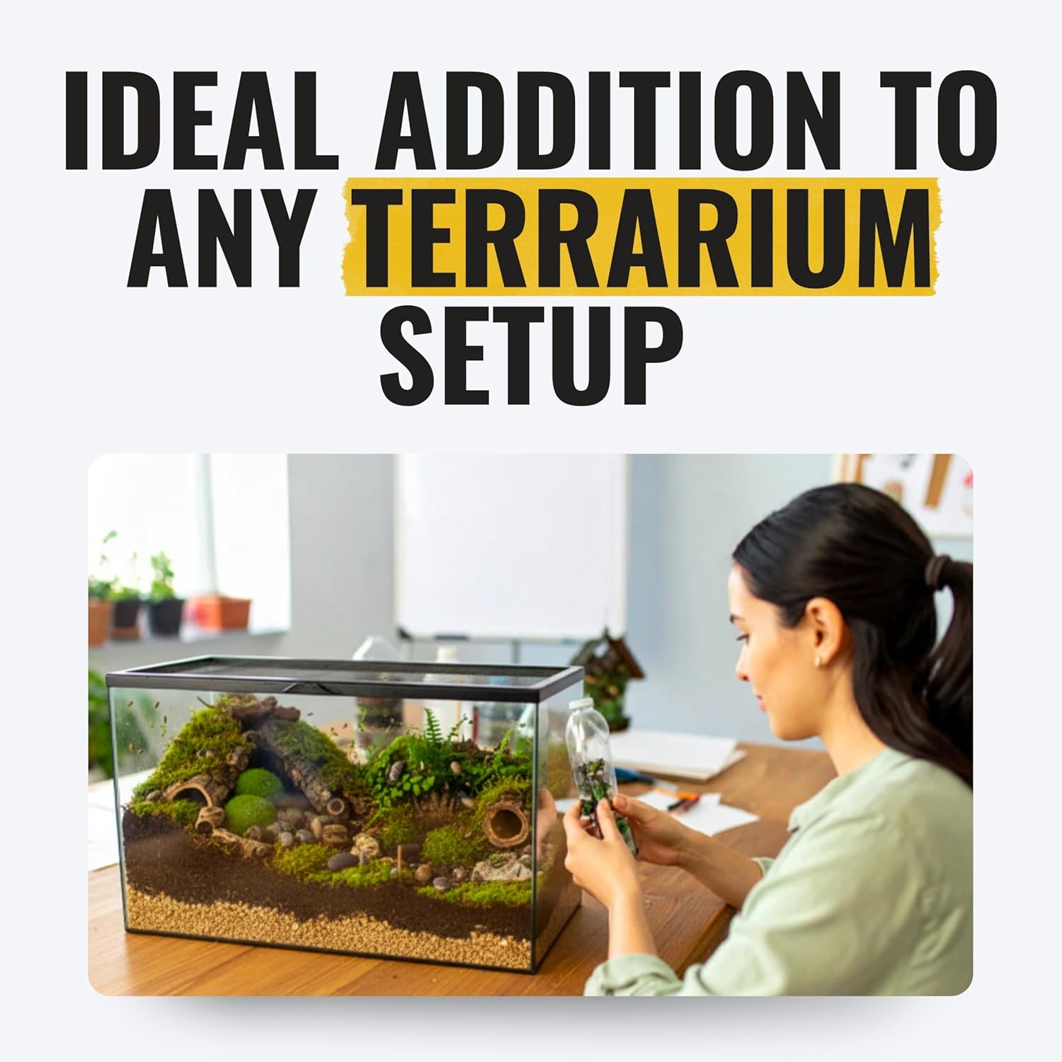 Creation Cultivated 12+ Cubaris Panda Isopods Live - Live Bugs for Bioactive Terrarium, Vivarium Clean-up Crews, and Reptile Food - Easy-Care Isopods for Terrarium
