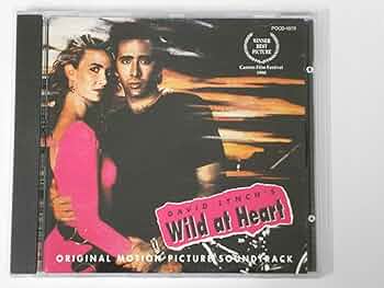 風読力・感惹力・Wild at Heart 他DVD8点セット 風読力・感惹力・Wild at Heart 他DVD8点セット Amazon.com: Wild at