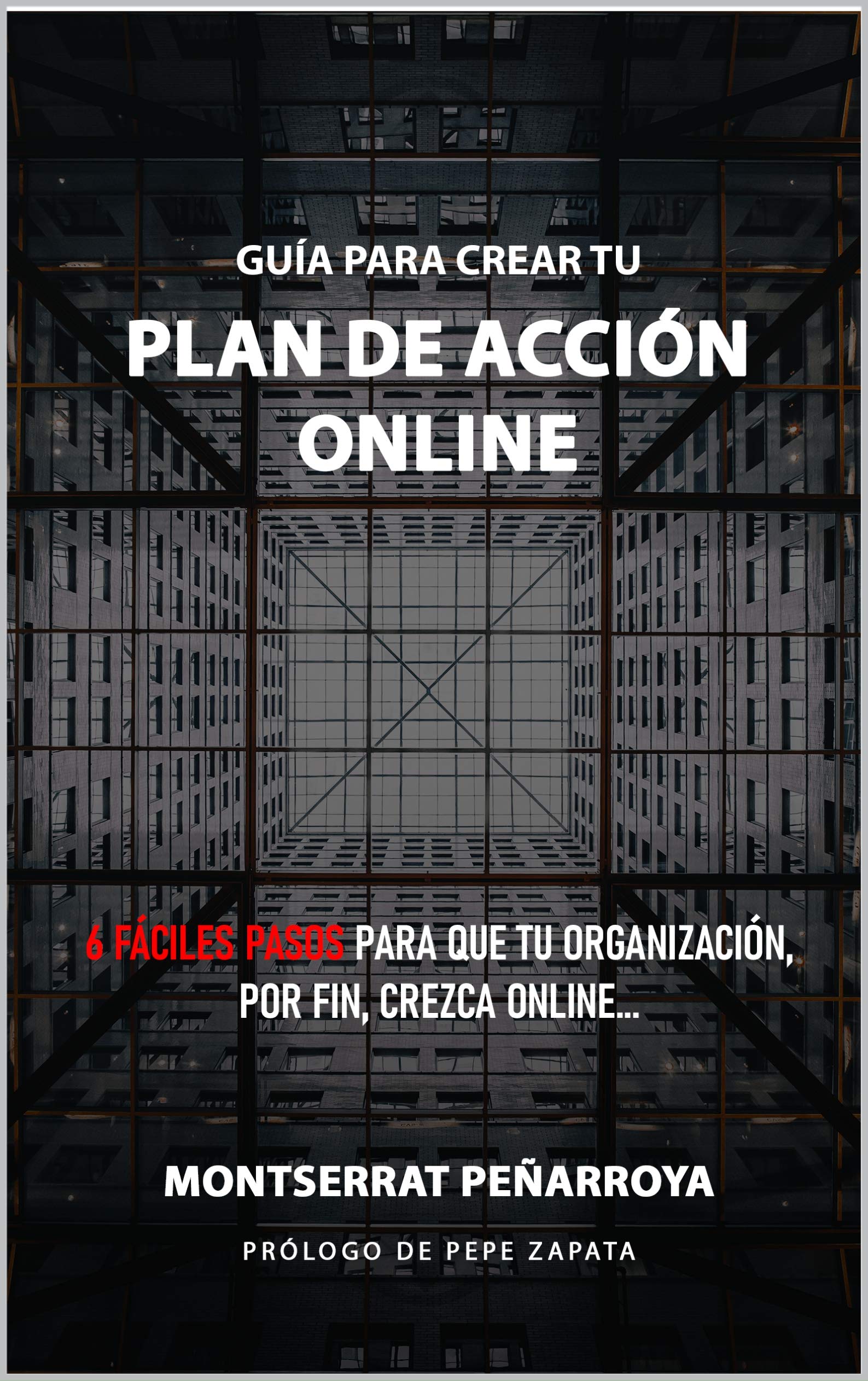 Guía para crear tu Plan de Acción Online: 6 fáciles pasos para que tu organización, por fin, crezca online... (Spanish Edition)
