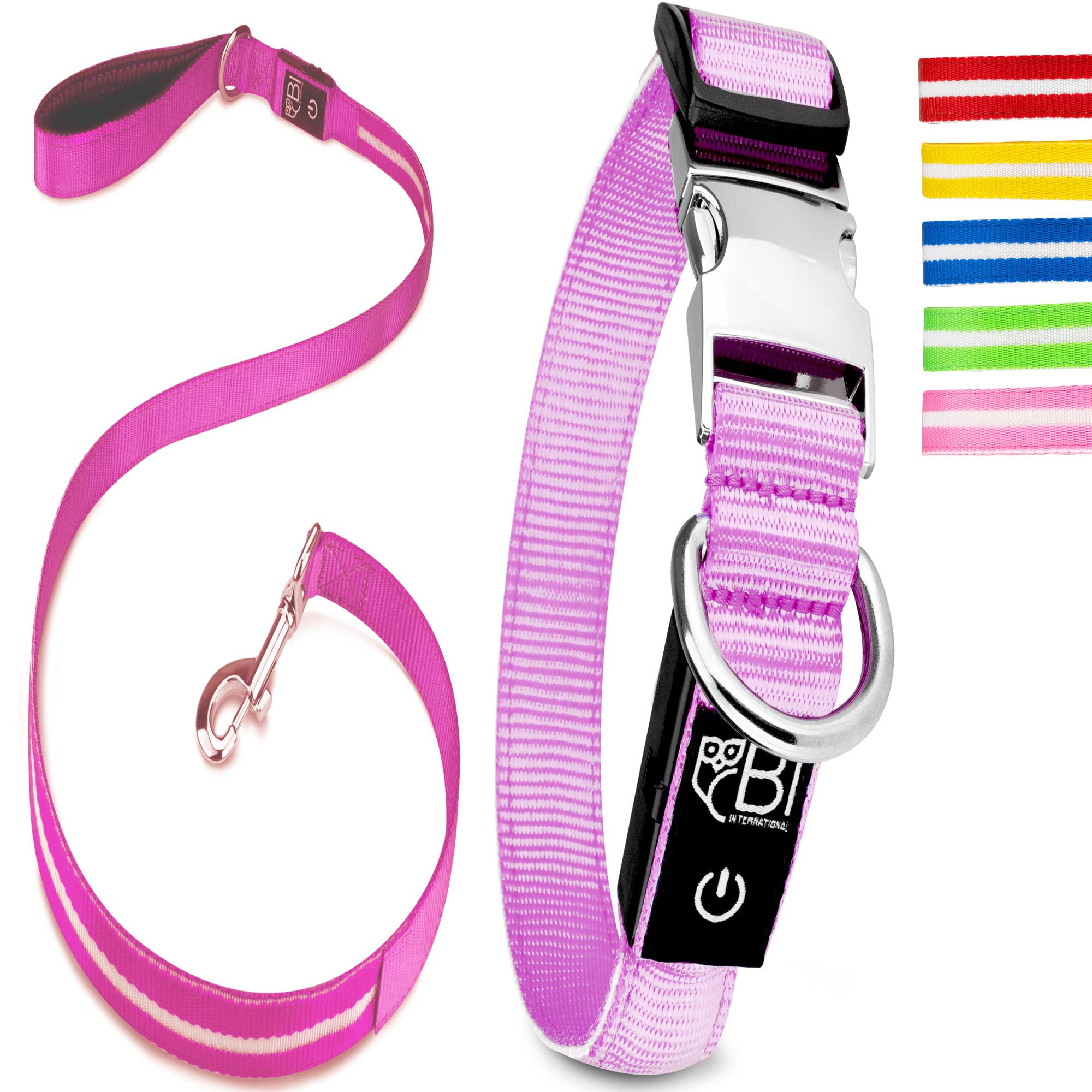 BI International ® Collier pour chien lumineux & rechargeable – LED étanche – Collier & laisse pour chien en nylon renforcé – Sûr grâce au fermoir en métal innovant (XS, rose)